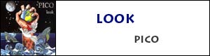 PICO: Look